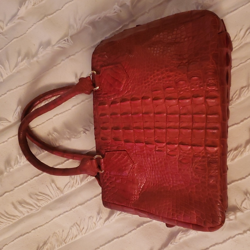 Alligator purse